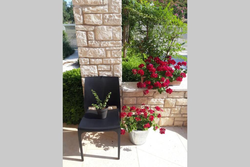 For Families Only - Casa Nora Novigrad Villa Novigrad Istria Eksteriør billede